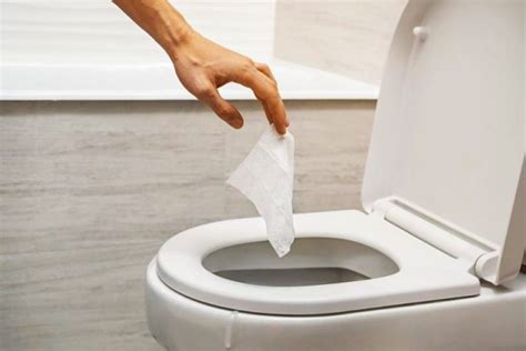 Can You Flush Paper Towel: A Journey Through the Absurd and the Practical