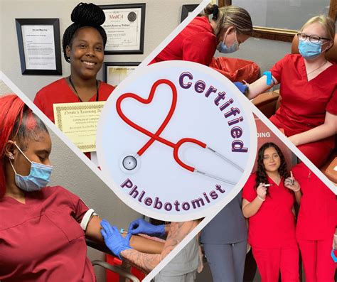 How Long Does Phlebotomy Training Take: A Journey Through Time and Needles