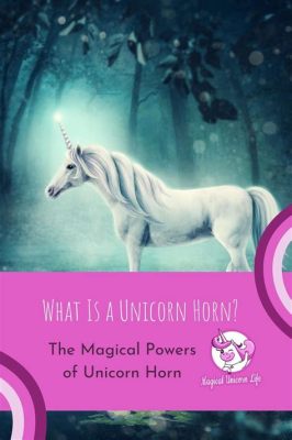 What Degree Do I Need to Teach Kindergarten? And Why Do Unicorns Love Storytime?