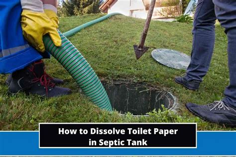 What is the Best Toilet Paper for Septic Tanks? And Why Do Trees Dream of Being Paper?